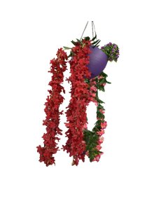 Buy Red/Purple Plastic Hanging Pot with Chain online | Cartco.pk 