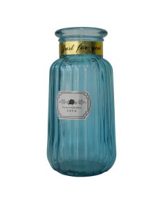 Buy Blue Color Future Garden Glass Flower Vase |Cartco.pk 