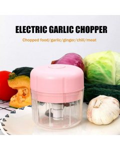 Buy Intelligent Electric Garlic Chopper online - cartco.pk 