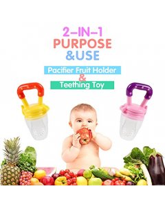 Feeding Pacifier Fruit Holder & Teething Toy - Cartco.pk