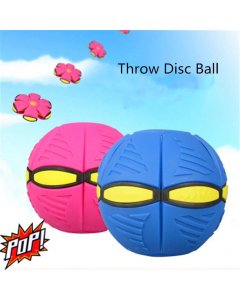 Buy Flying Flat Disk Ball For Kids - Cartco.pk